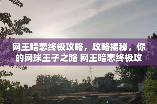 网王暗恋终极攻略,攻略揭秘,你的网球王子之路 网王暗恋终极攻略 网王暗恋终极攻略,攻略揭秘,你的网球王子之路 网王暗恋终极攻略