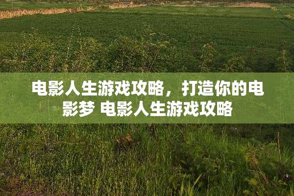 电影人生游戏攻略，打造你的电影梦 电影人生游戏攻略