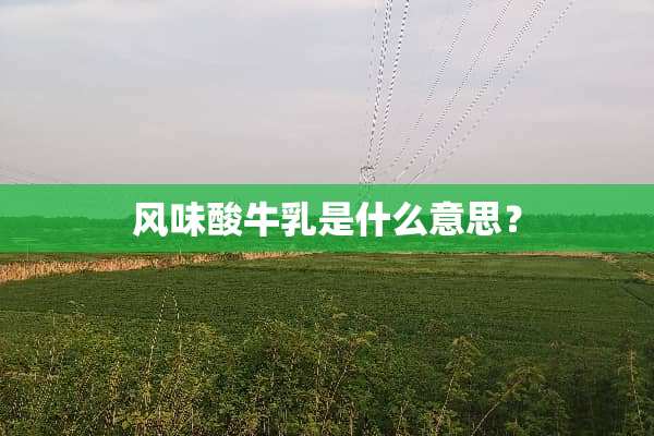 风味酸牛*是什么意思？