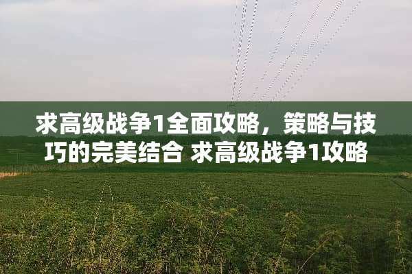 求高级战争1全面攻略,策略与技巧的完美结合 求高级战争1攻略游戏 求高级战争1全面攻略,策略与技巧的完美结合 求高级战争1攻略游戏