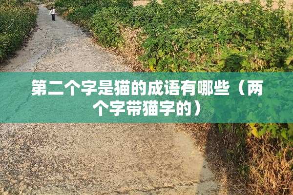 第二个字是猫的成语有哪些(两个字带猫字的) 第二个字是猫的成语有哪些(两个字带猫字的)