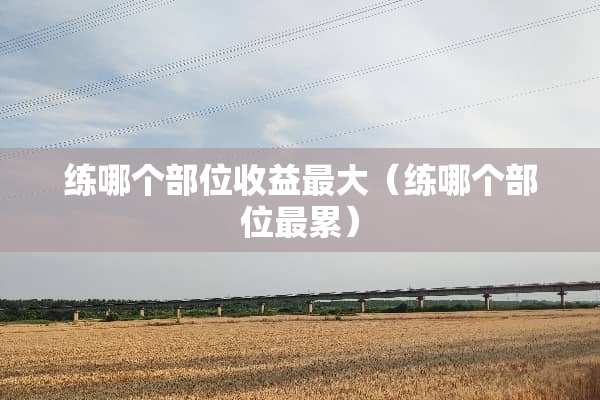 练哪个部位收益最大（练哪个部位最累）