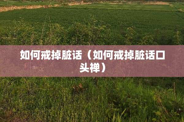 如何戒掉脏话(如何戒掉脏话口头禅) 如何戒掉脏话(如何戒掉脏话口头禅)