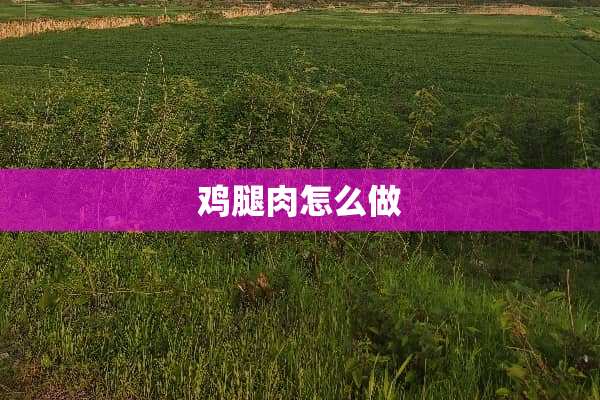 鸡腿肉怎么做