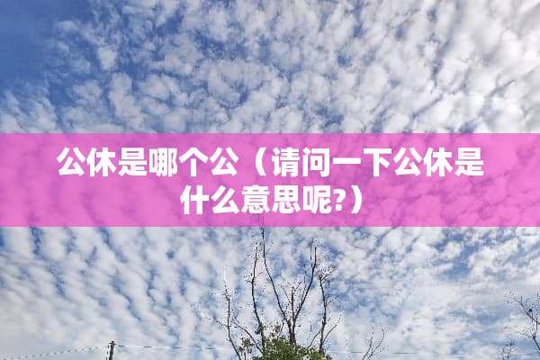 公休是哪个公(请问一下公休是什么意思呢?) 公休是哪个公(请问一下公休是什么意思呢?)