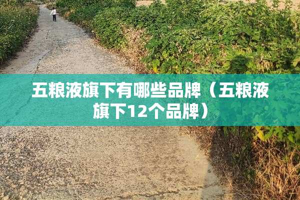 五粮液旗下有哪些品牌(五粮液旗下12个品牌) 五粮液旗下有哪些品牌(五粮液旗下12个品牌)