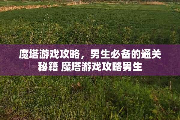 魔塔游戏攻略，男生必备的通关秘籍 魔塔游戏攻略男生