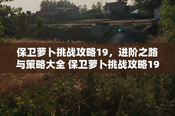 保卫萝卜挑战攻略19，进阶之路与策略大全 保卫萝卜挑战攻略19