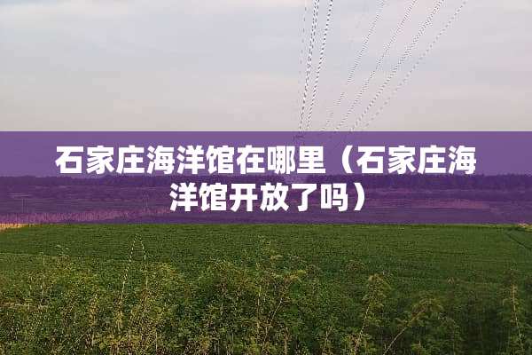 石家庄海洋馆在哪里（石家庄海洋馆开放了吗）