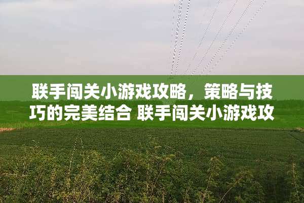 联手闯关小游戏攻略，策略与技巧的完美结合 联手闯关小游戏攻略
