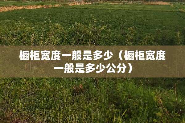 橱柜宽度一般是多少（橱柜宽度一般是多少公分）