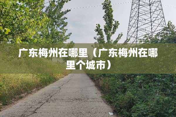 广东梅州在哪里（广东梅州在哪里个城市）