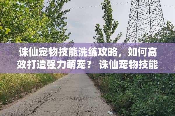 诛仙宠物技能洗练攻略，如何高效打造强力萌宠？ 诛仙宠物技能怎么洗