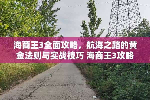 海商王3全面攻略，航海之路的黄金法则与实战技巧 海商王3攻略游戏