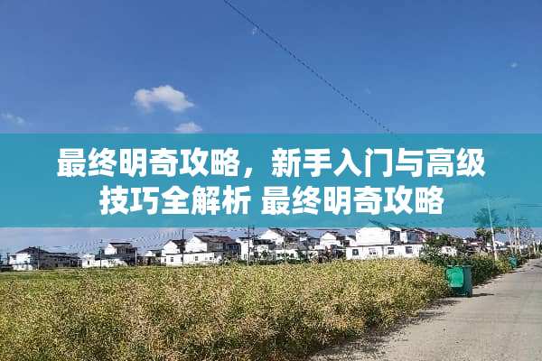 最终明奇攻略，新手入门与高级技巧全解析 最终明奇攻略