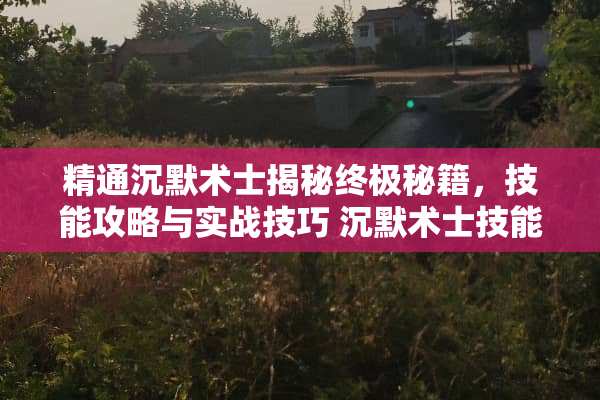 精通沉默术士揭秘终极秘籍，技能攻略与实战技巧 沉默术士技能