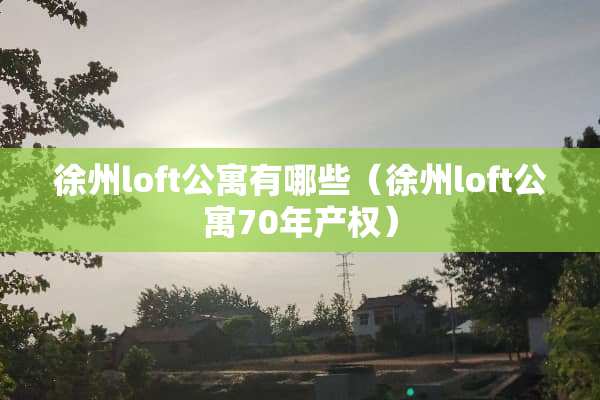 徐州loft公寓有哪些（徐州loft公寓70年产权）