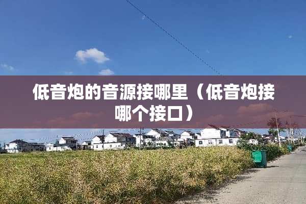低音炮的音源接哪里（低音炮接哪个接口）