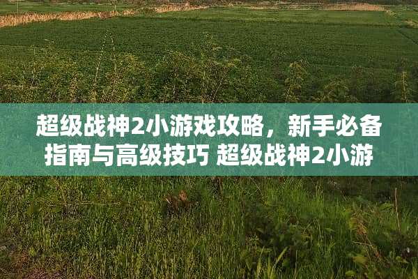 超级战神2小游戏攻略，新手必备指南与高级技巧 超级战神2小游戏攻略