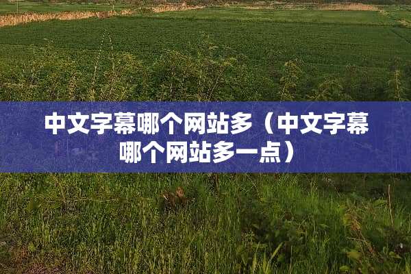 中文字幕哪个网站多（中文字幕哪个网站多一点）