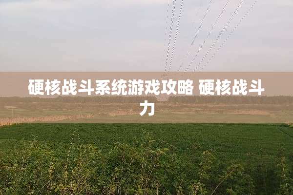 硬核战斗系统游戏攻略 硬核战斗力