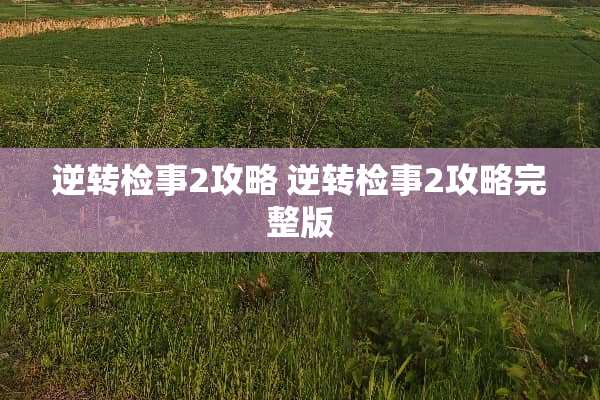 逆转检事2攻略 逆转检事2攻略完整版 逆转检事2攻略 逆转检事2攻略完整版