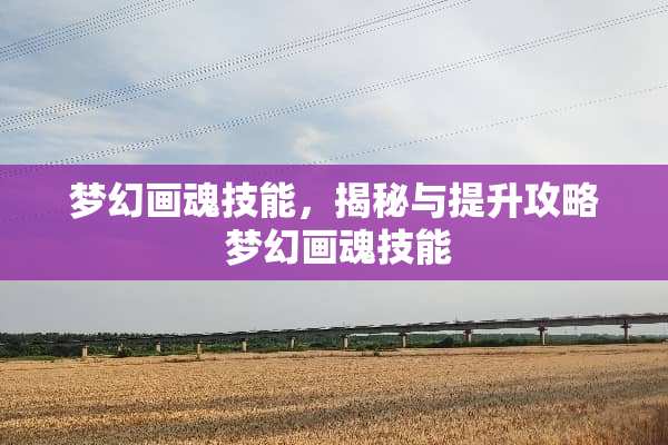 梦幻**技能,揭秘与提升攻略 梦幻**技能 梦幻**技能,揭秘与提升攻略 梦幻**技能