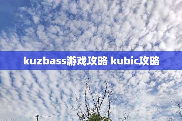 kuzbass游戏攻略 kubic攻略