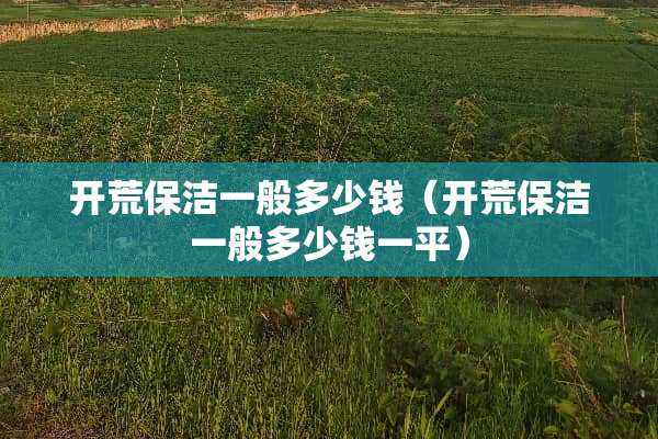 开荒保洁一般多少钱（开荒保洁一般多少钱一平）