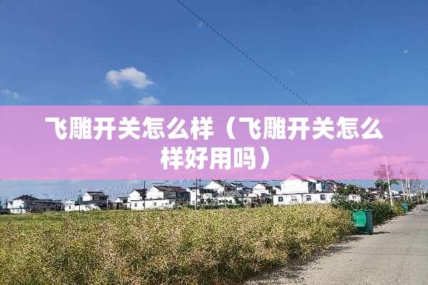 飞雕开关怎么样(飞雕开关怎么样好用吗) 飞雕开关怎么样(飞雕开关怎么样好用吗)