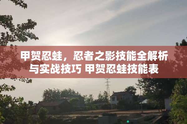 甲贺忍蛙，忍者之影技能全解析与实战技巧 甲贺忍蛙技能表