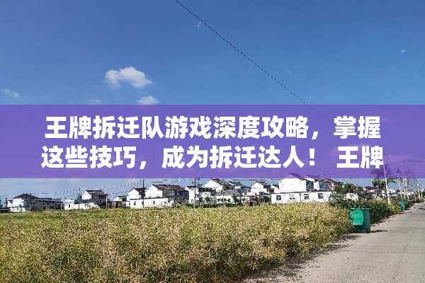 王牌拆迁队游戏深度攻略，掌握这些技巧，成为拆迁达人！ 王牌拆迁队游戏攻略