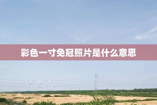 彩色一寸免冠照片是什么意思