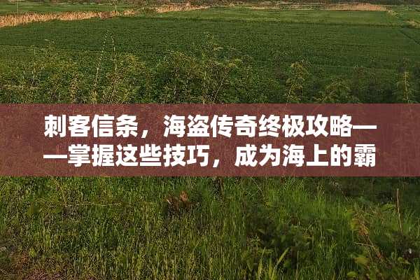 刺客信条，海盗传奇终极攻略——掌握这些技巧，成为海上的霸主！ 刺客信条海盗游戏攻略