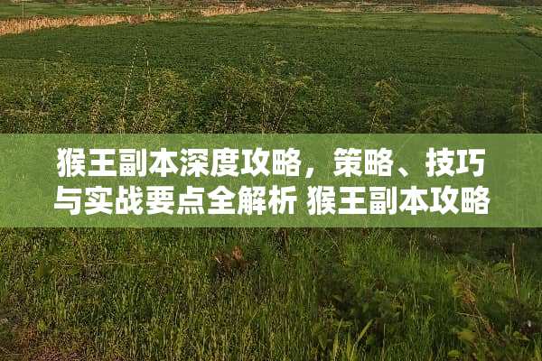 猴王副本深度攻略,策略、技巧与实战要点全解析 猴王副本攻略 猴王副本深度攻略,策略、技巧与实战要点全解析 猴王副本攻略
