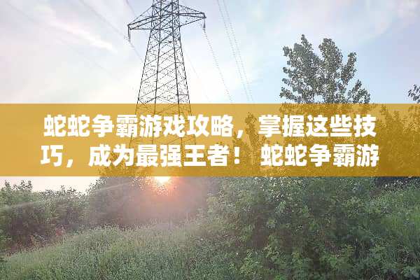 蛇蛇争霸游戏攻略，掌握这些技巧，成为最强王者！ 蛇蛇争霸游戏攻略
