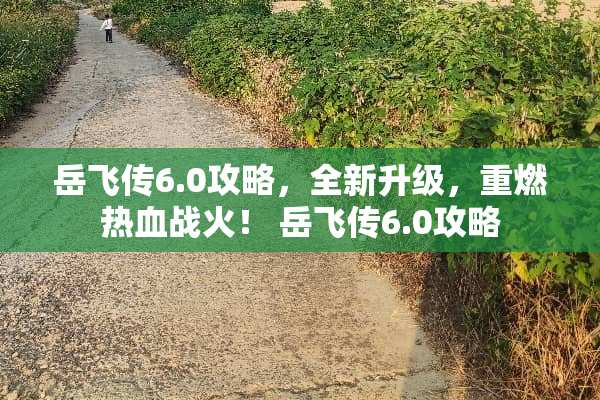 岳飞传6.0攻略，全新升级，重燃热血战火！ 岳飞传6.0攻略