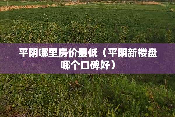 平*哪里房价最低（平*新楼盘哪个口碑好）