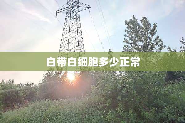 白带白细胞多少正常