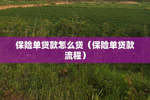 保险单贷款怎么贷（保险单贷款流程）