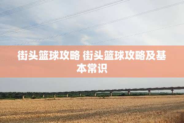 街头篮球攻略 街头篮球攻略及基本常识