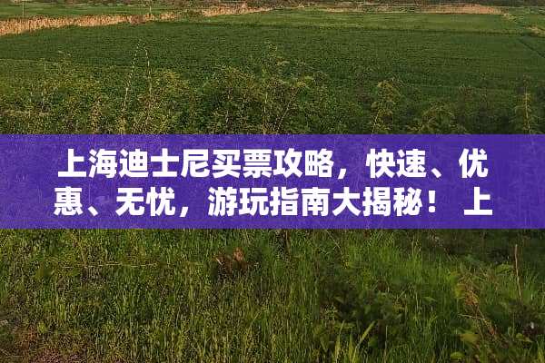 上海迪士尼买票攻略，快速、优惠、无忧，游玩指南大揭秘！ 上海迪士尼买票攻略