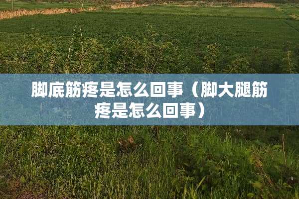 脚底筋疼是怎么回事(脚大腿筋疼是怎么回事) 脚底筋疼是怎么回事(脚大腿筋疼是怎么回事)