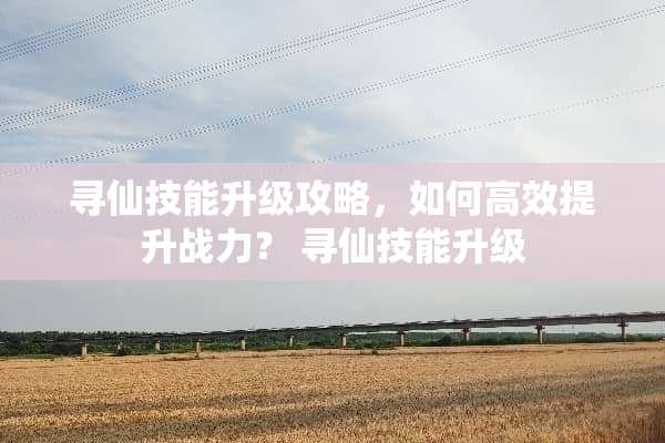 寻仙技能升级攻略，如何高效提升战力？ 寻仙技能升级