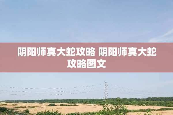 *阳师真大蛇攻略*阳师真大蛇攻略图文