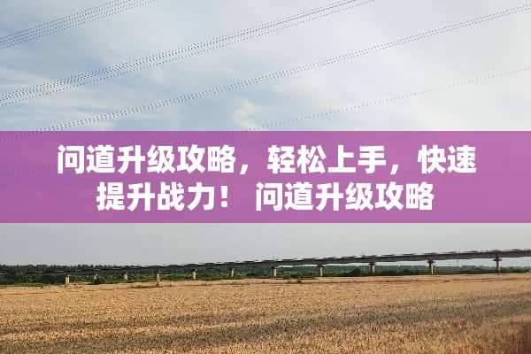 问道升级攻略，轻松上手，快速提升战力！ 问道升级攻略