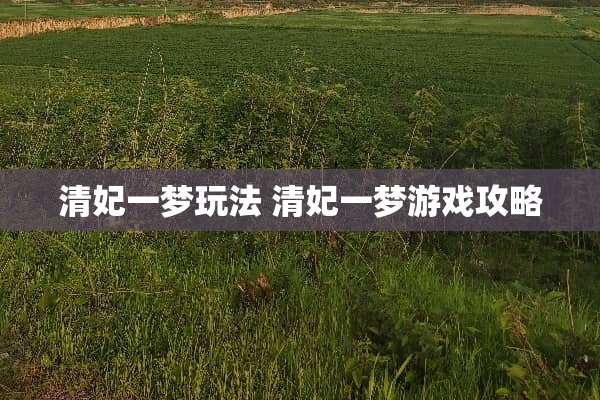 清妃一梦玩法 清妃一梦游戏攻略