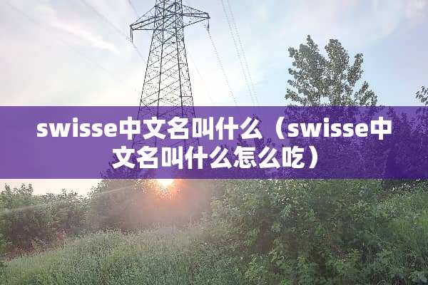 swisse中文名叫什么（swisse中文名叫什么怎么吃）