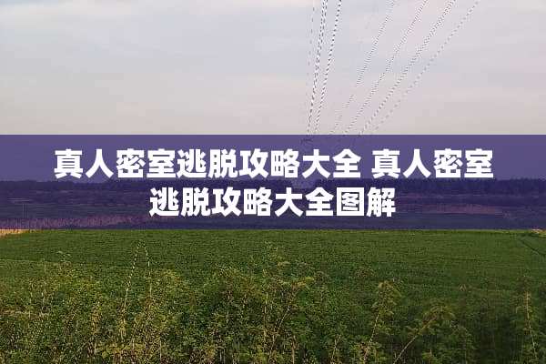 真人密室逃脱攻略大全 真人密室逃脱攻略大全图解