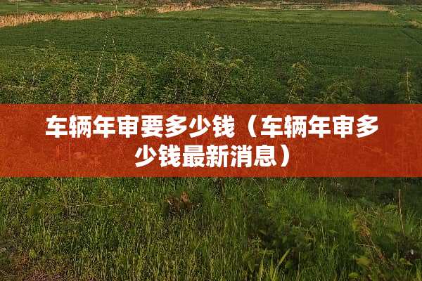 车辆年审要多少钱（车辆年审多少钱最新消息）